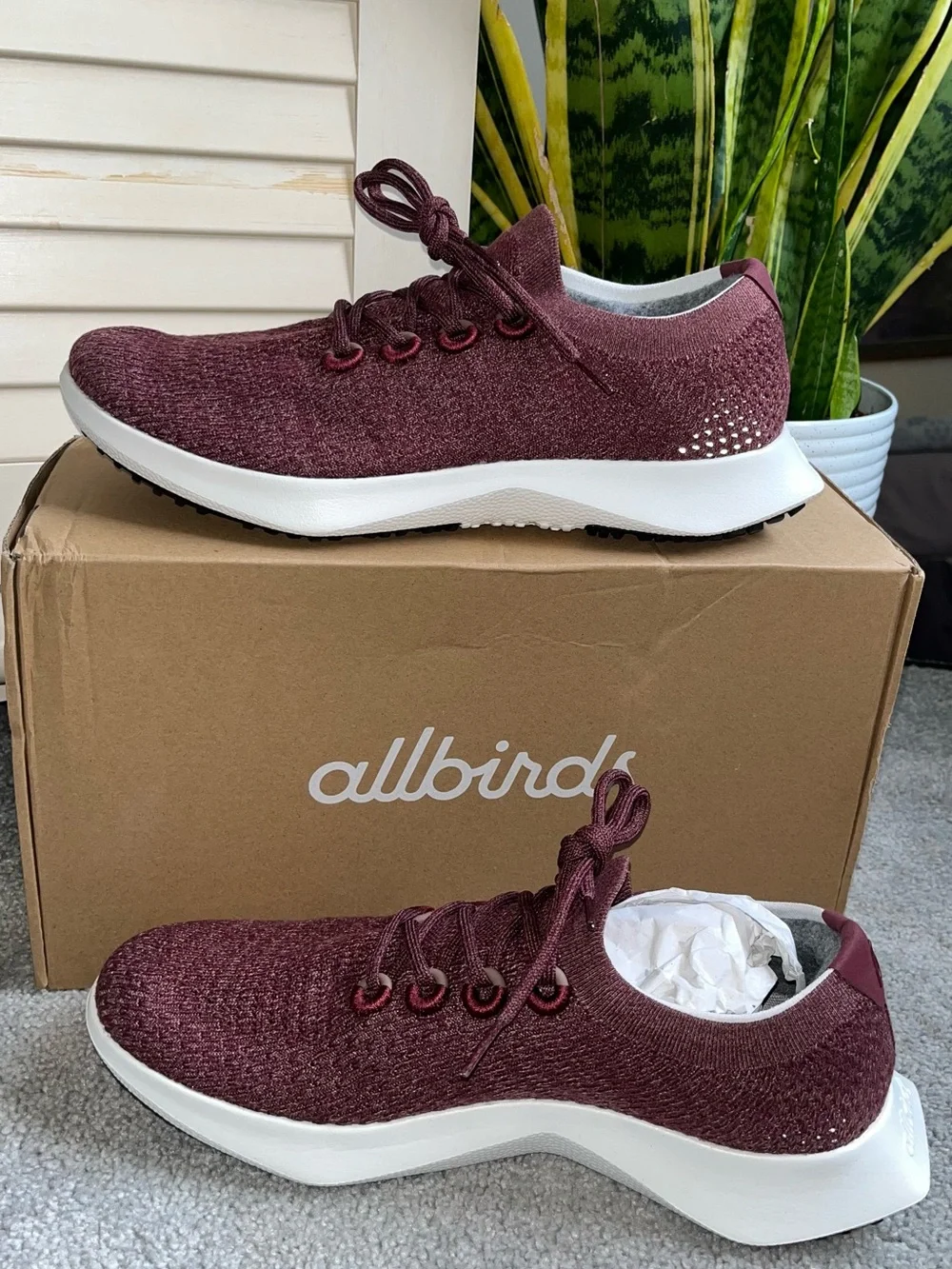 allbirds nib men’s